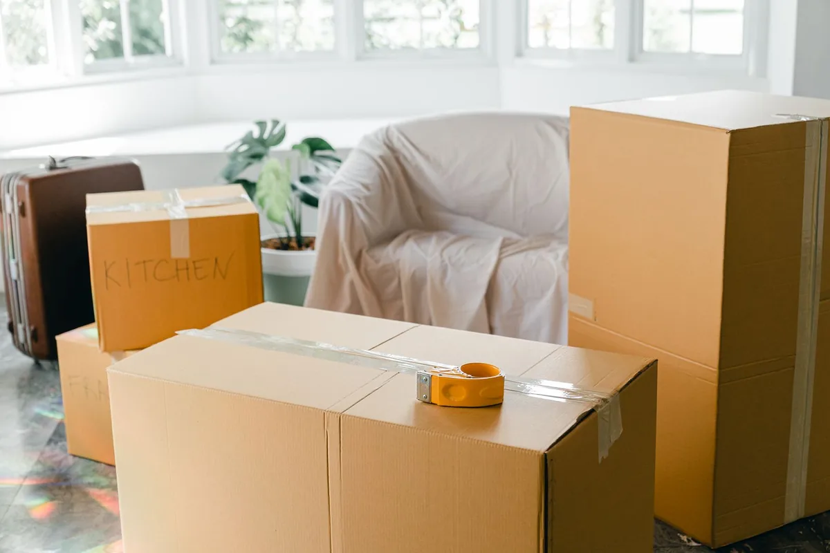 Hoarding Cleanup in Ida, MI